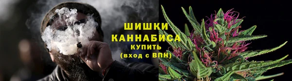 сатива Вязники