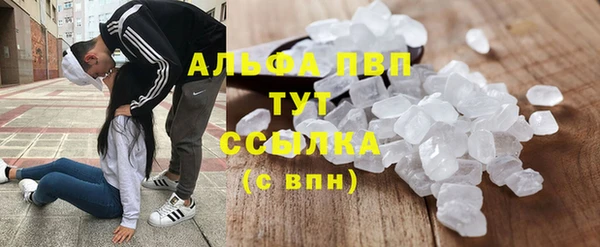 крисы Вязьма
