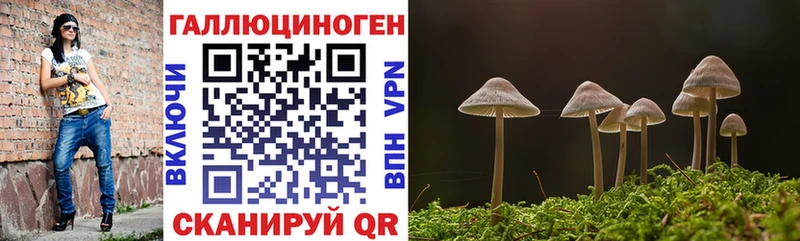 Купить  Кстово  Галлюциногенные грибы Psilocybe 
